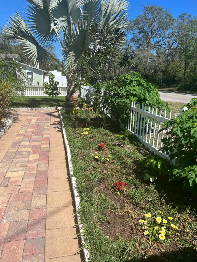 Caribbean Splendor Vacation Rental Near Bush Gardens Tampa Fl 外观 照片