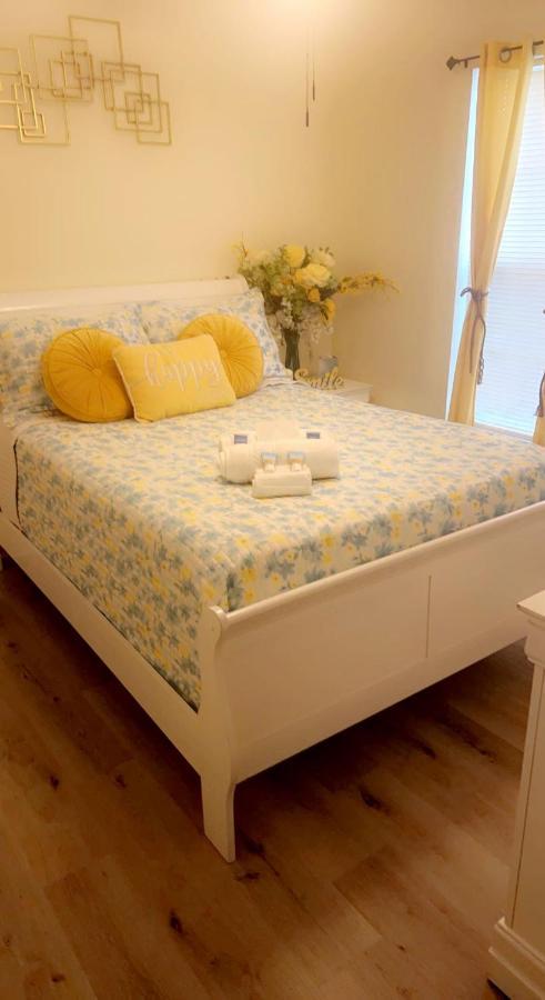 Caribbean Splendor Vacation Rental Near Bush Gardens Tampa Fl 外观 照片