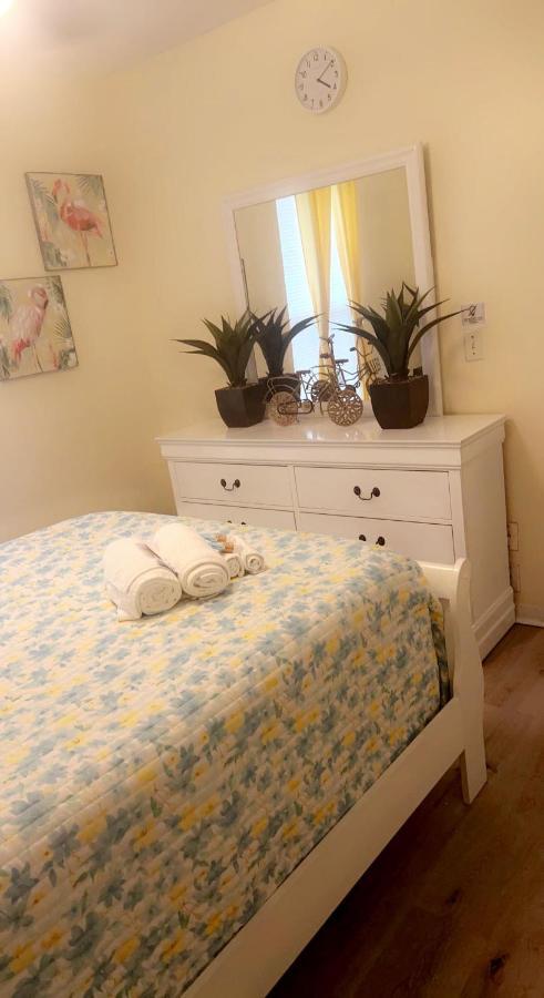 Caribbean Splendor Vacation Rental Near Bush Gardens Tampa Fl 外观 照片